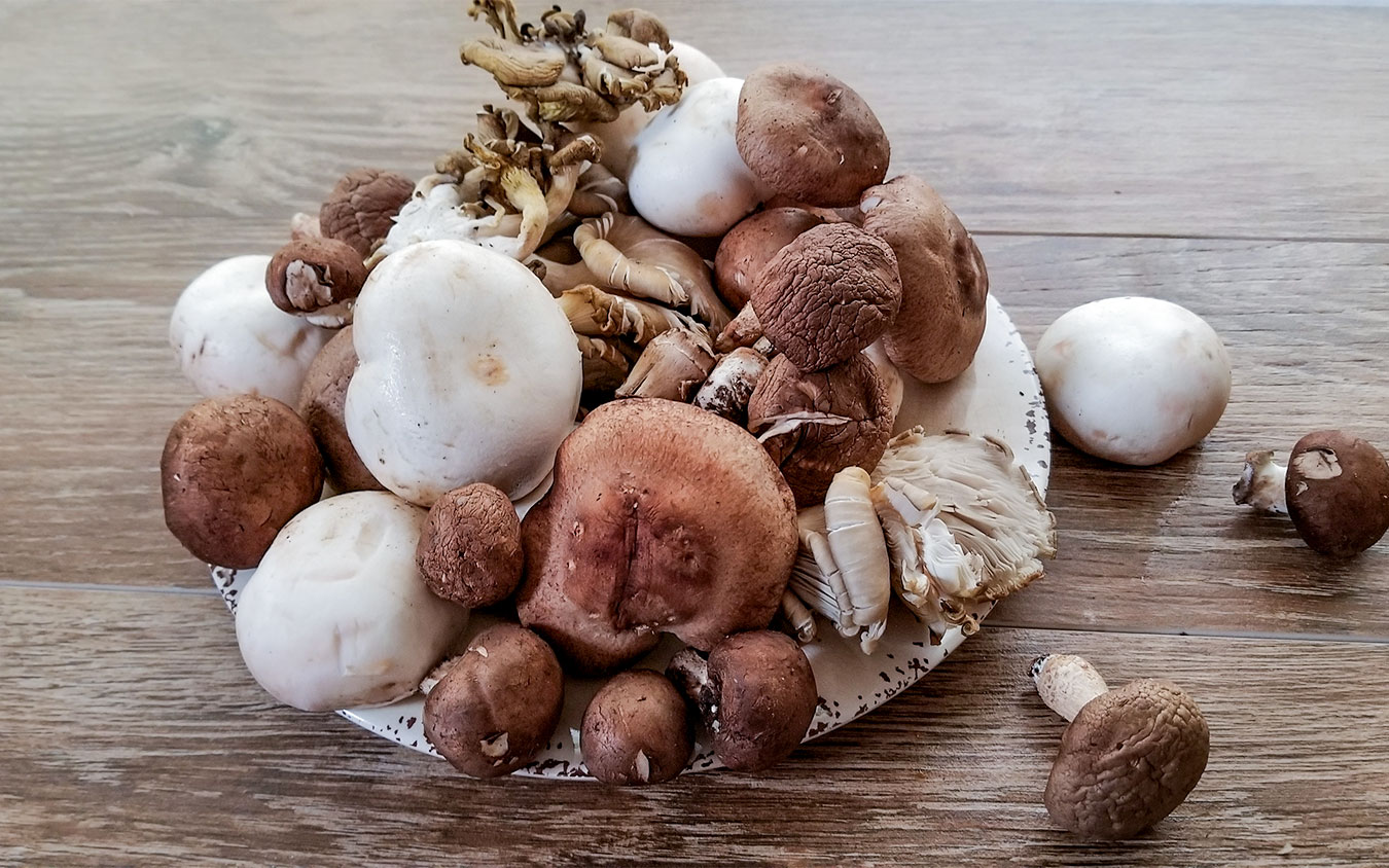 assorted mushrooms