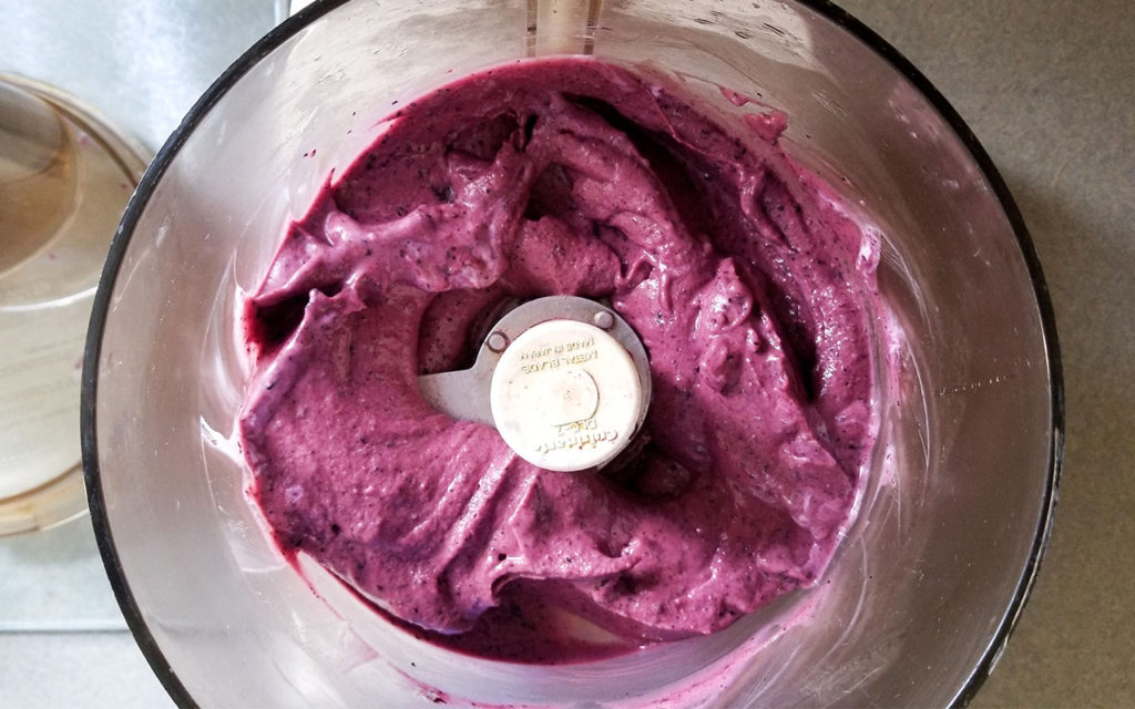 blueberries, yogurt and honey blended in a food processor