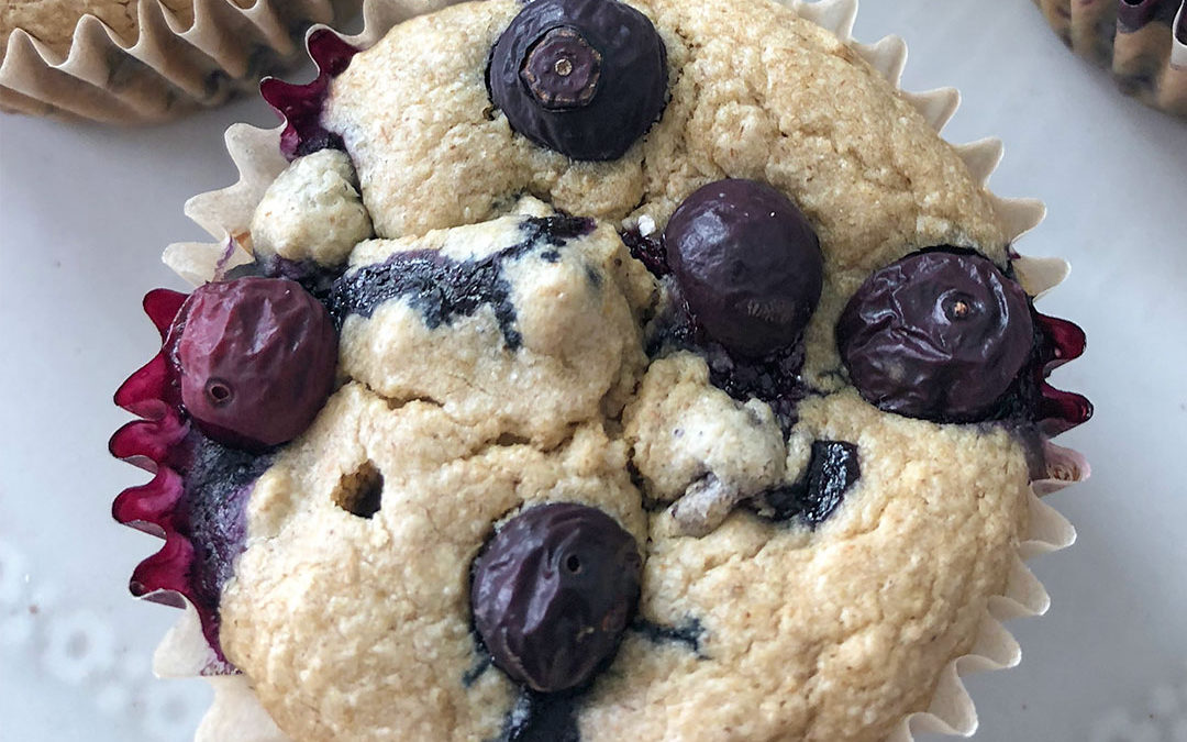 Blueberry Muffins