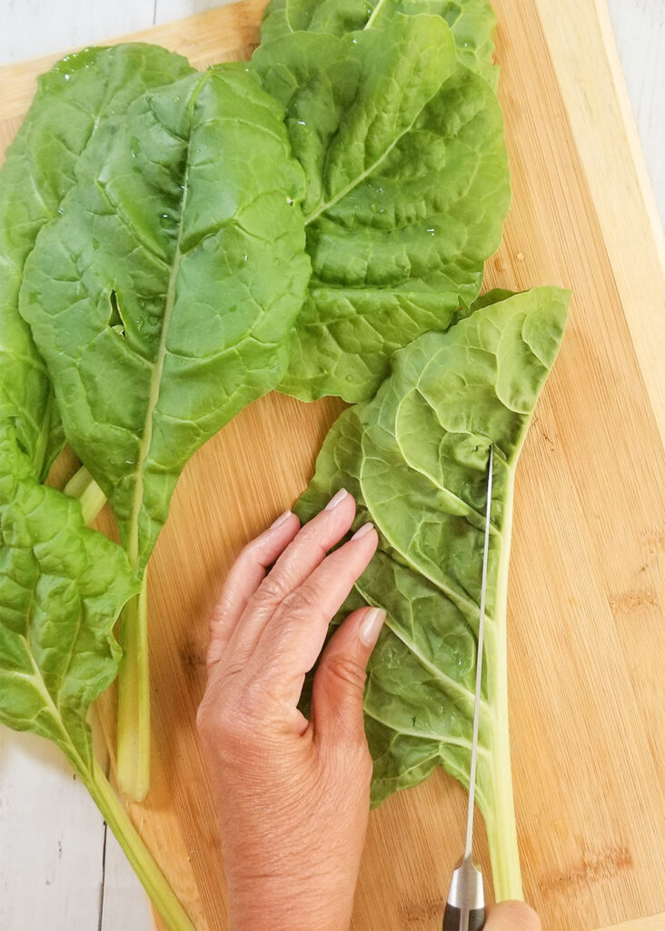 Cutting stems from Swiss Chard