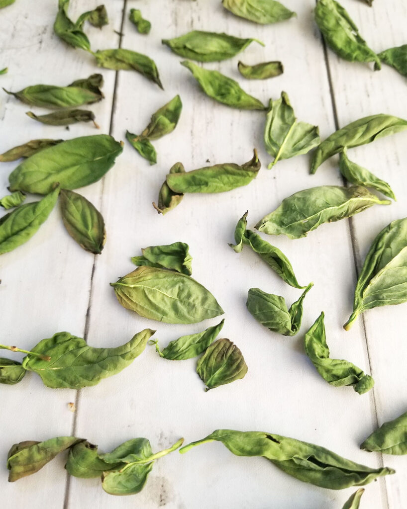 How To Dry Basil - Heart Healthy Greek