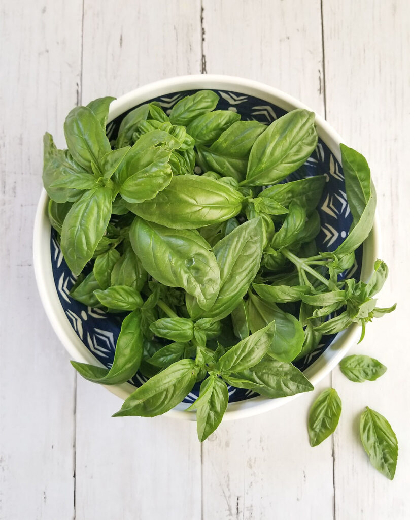 Basil leaves in a bowl